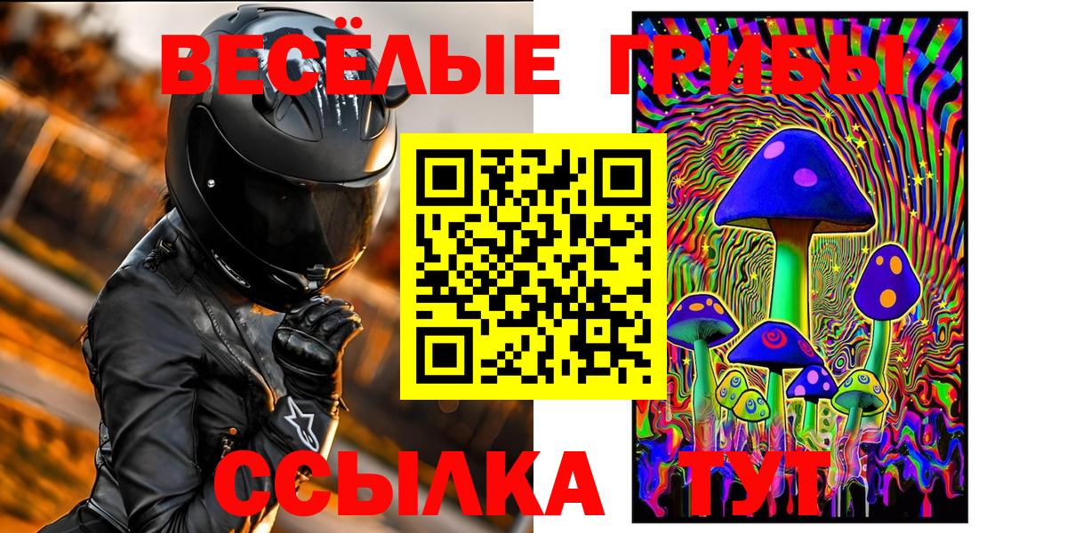 Кудымкар  Галлюциногенные грибы Cubensis  Вход с VPN 